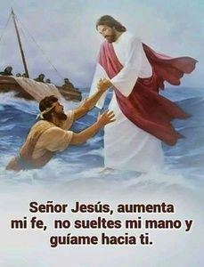 Meet your Posher, Isabel